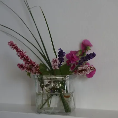 Ostseestuev * Boiensdorf