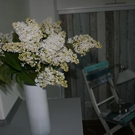 Ostseestuev Boiensdorf