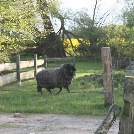 Апартаменты Ostseestuev *