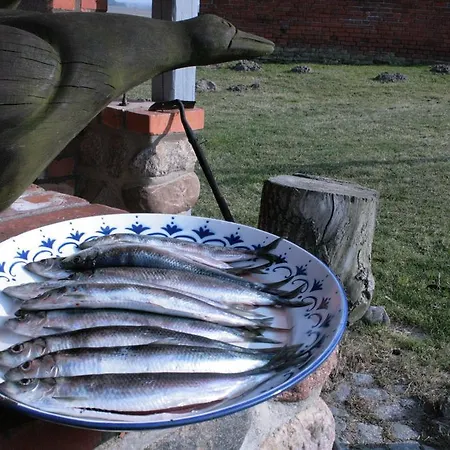 Ostseestuev Boiensdorf