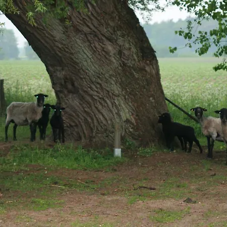 Апартаменты Ostseestuev