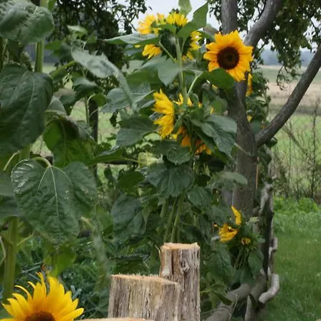 Ostseestuev Boiensdorf