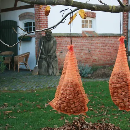 Apartman Ostseestuev *