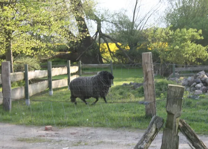 דירה Ostseestuev *