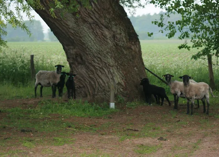 アパート Ostseestuev